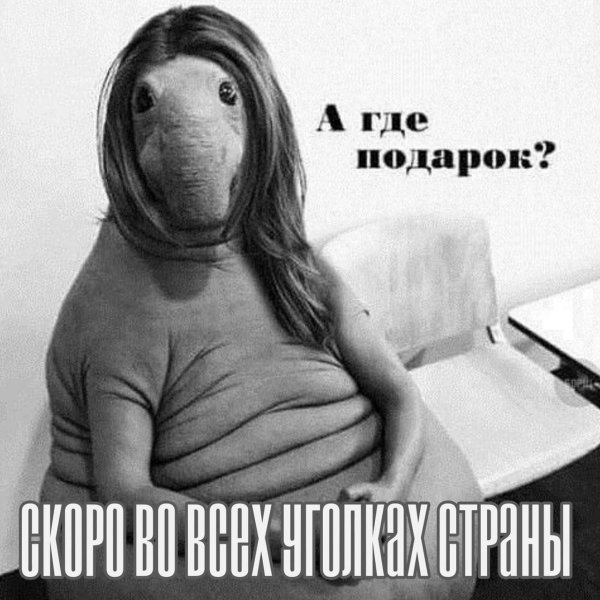 Ждун приколы