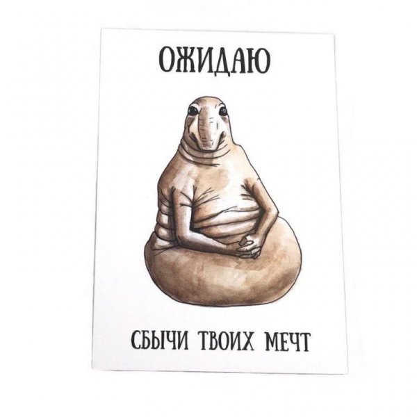 Ждун приколы