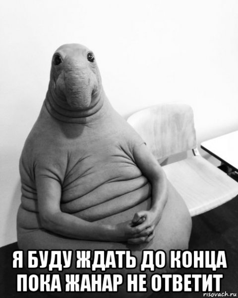Вика Ждун