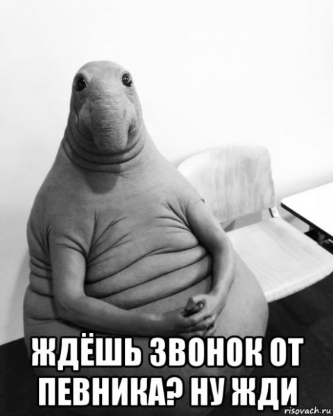 Веселый Ждун