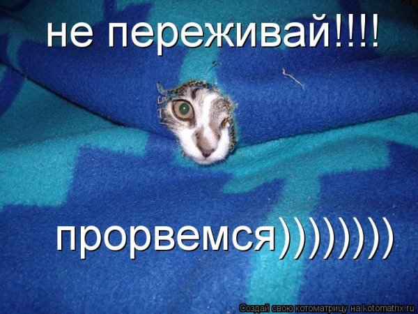 Не переживай