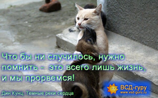 Открытки не переживай Прорвемся