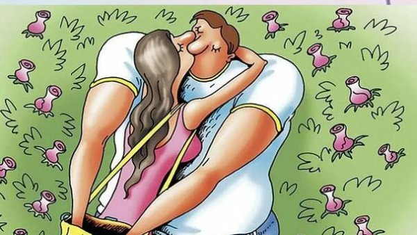 Приколы про альфонса