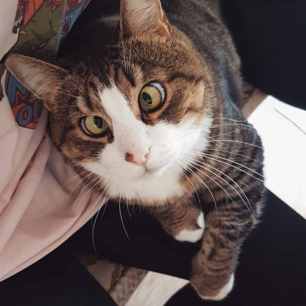 Косоглазие прикол