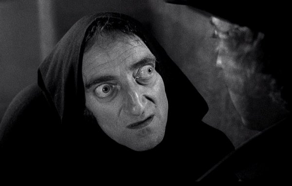 Молодой Франкенштейн 1974