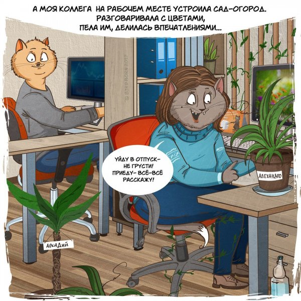 Коллеги прикол