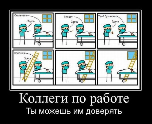 Приколы про коллег по работе