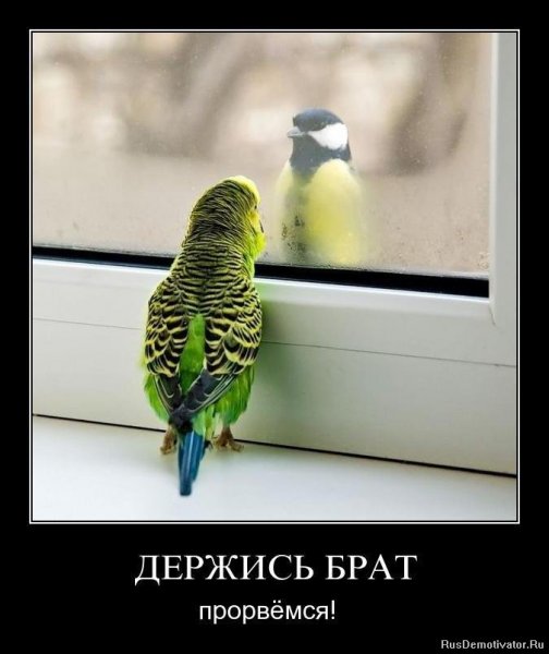Держись брат Прорвемся