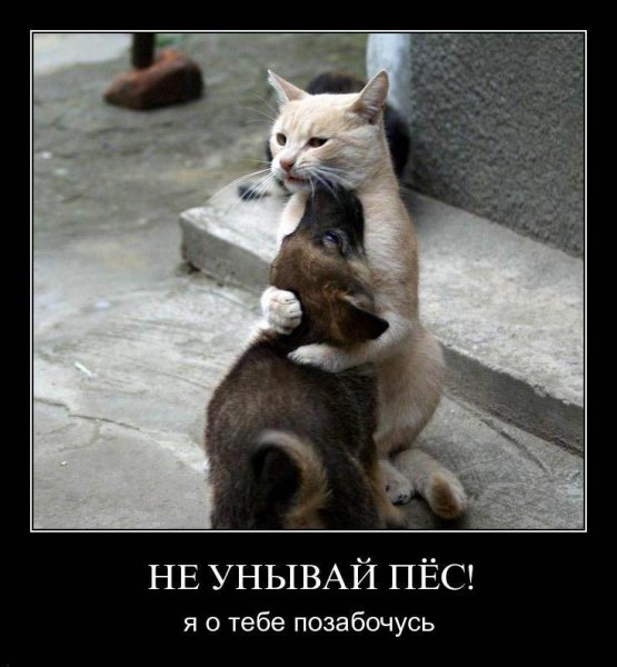 Я С тобой
