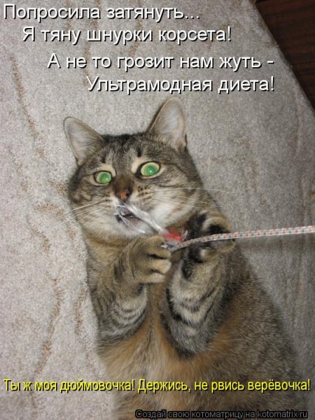 Открытка держись мы с тобой