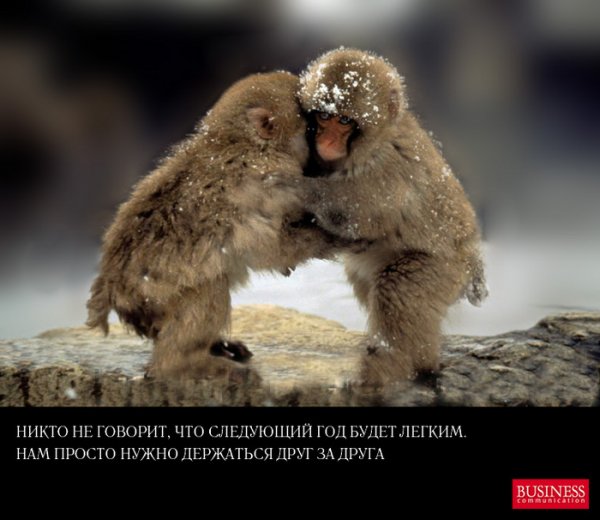 Держись Прорвемся