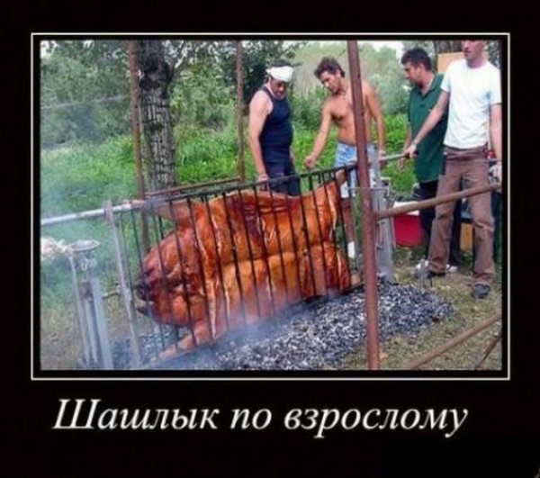Шутки про шашлык