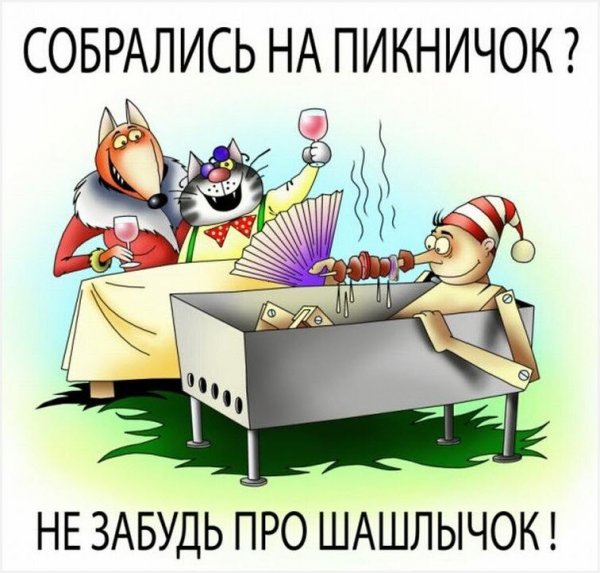 Шутки про шашлык