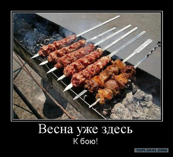 Шашлык прикольные