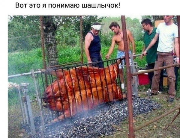 Шутки про шашлык