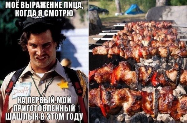 Шашлык картинки прикольные