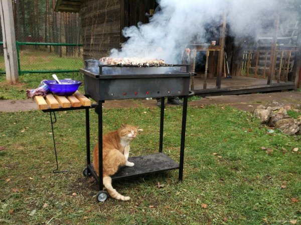 Мангал смешно
