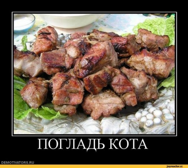 Шутки про шашлык
