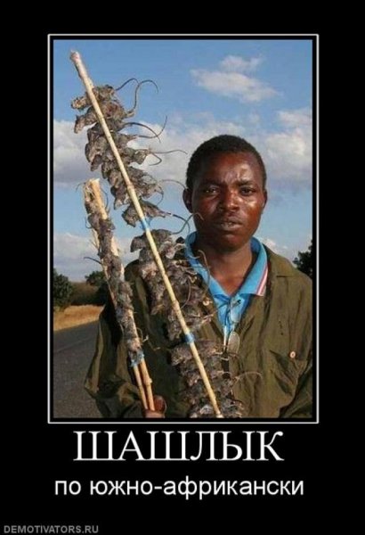 Шашлыки на природе