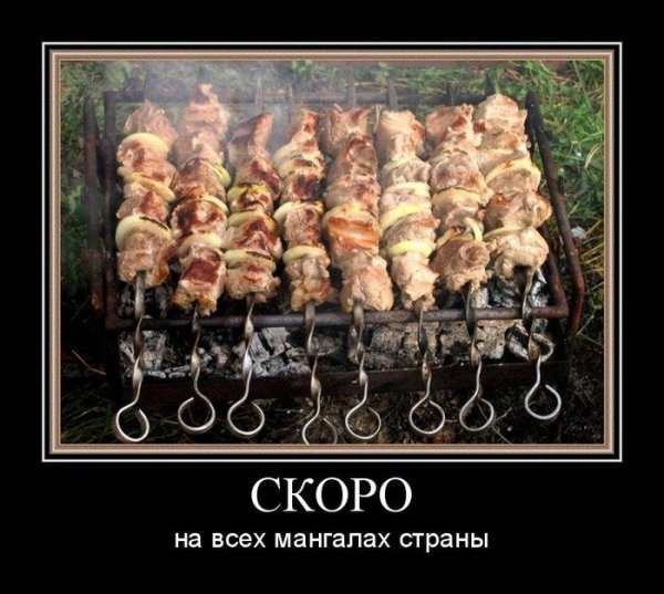 Шутки про шашлык
