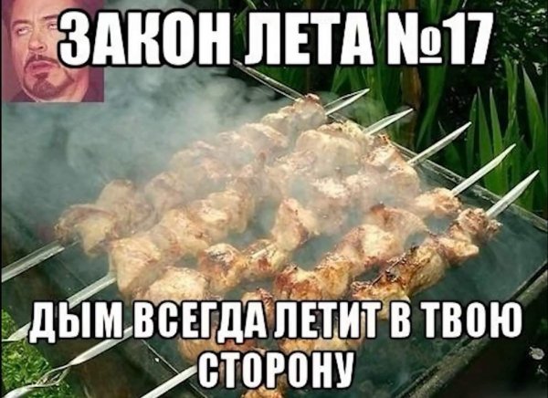 Приколы про шашлыки на природе