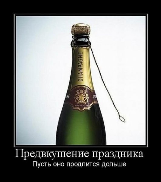 Шампанское юмор