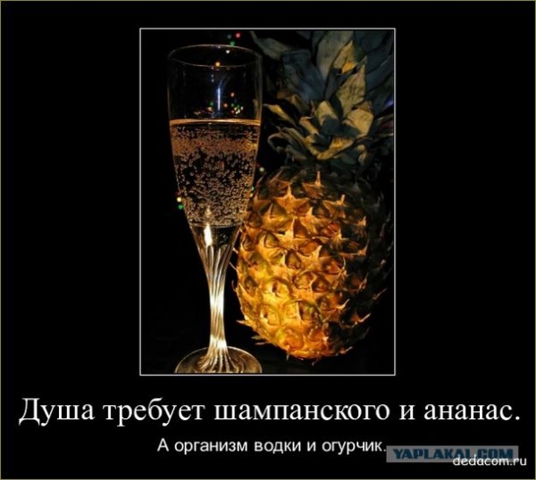 Шампанское смешно