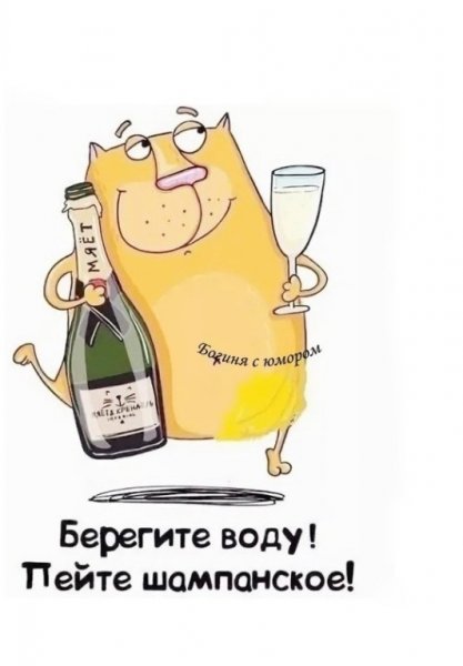 Шампанское прикольное