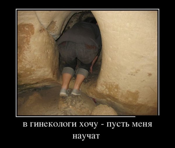 Гинеколог карикатура