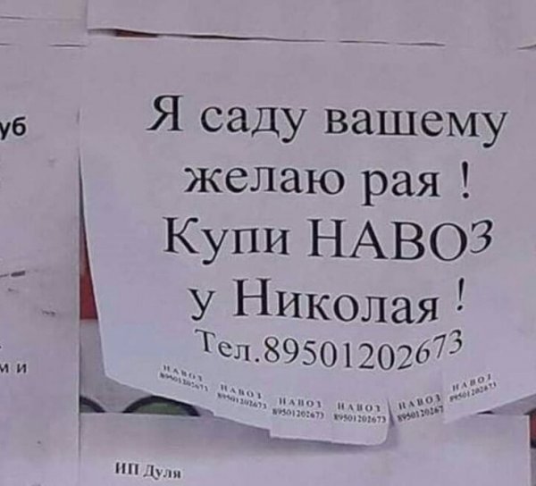 Смешные объявления и надписи