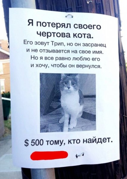 Смешные надписи