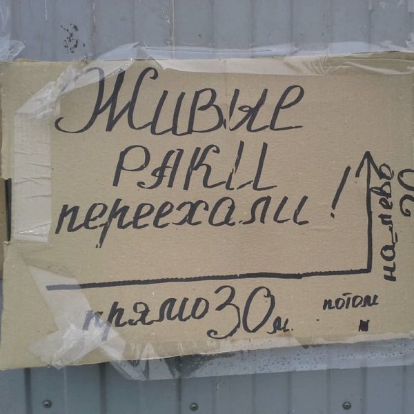 Смешные объявления