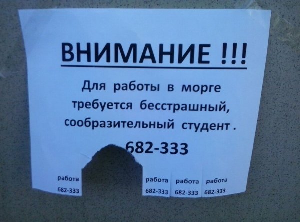 Объявления юмор