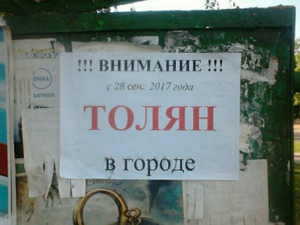 Объявления приколы