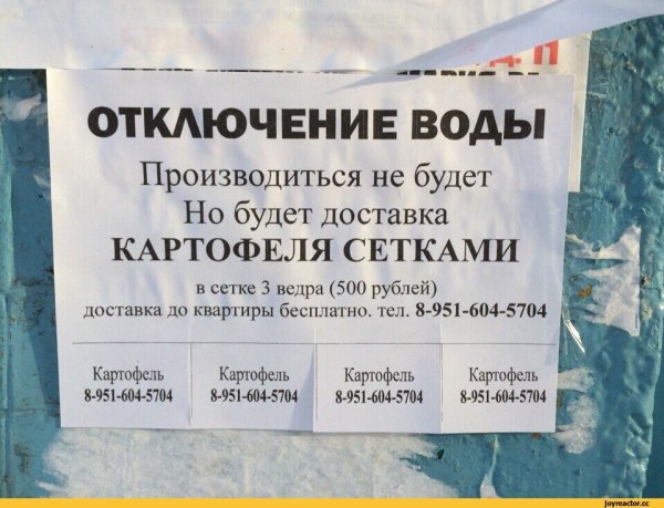 Смешные объявления и надписи