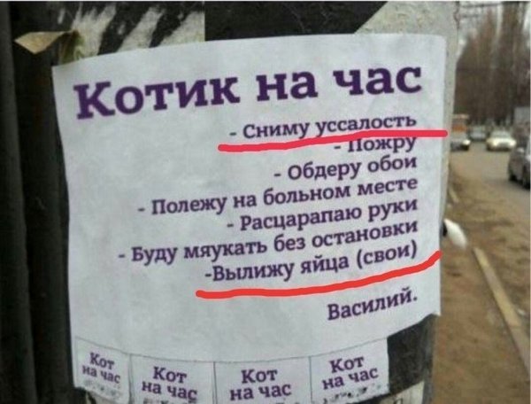 Прикольные объявления про мужчин
