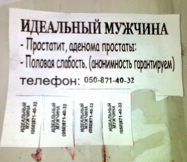 Смешные объявления в зоомагазине