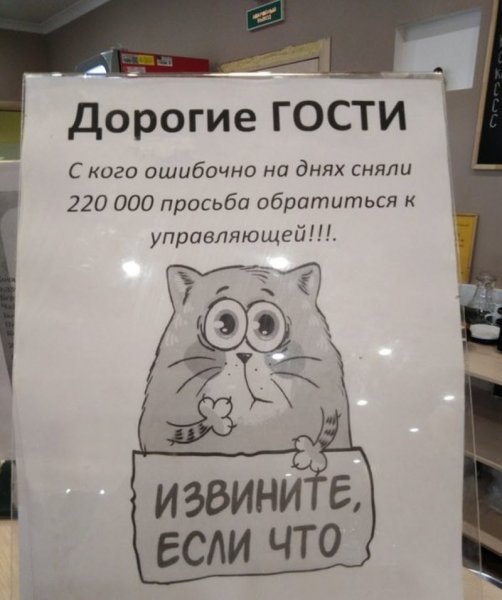 Объявления приколы