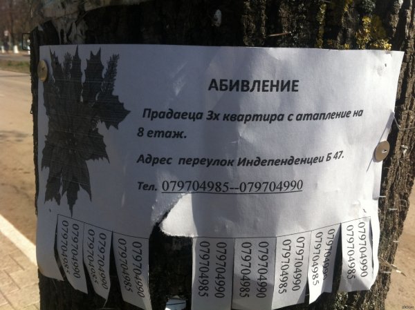 Смешные вывески надписи и объявления