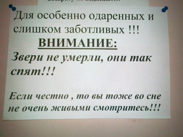 Объявления приколы
