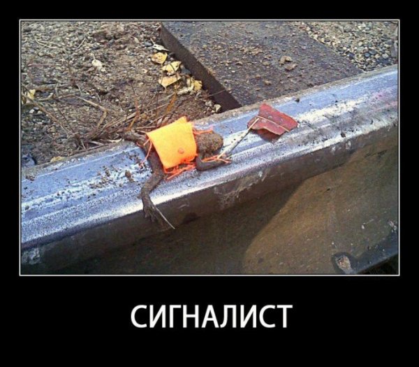 Железнодорожные приколы
