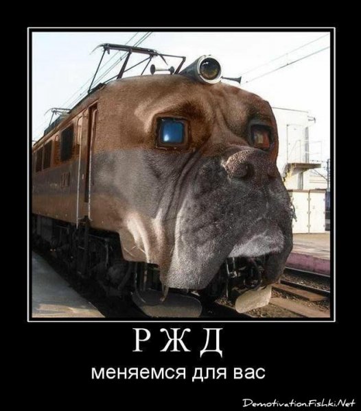 Приколы в поезде