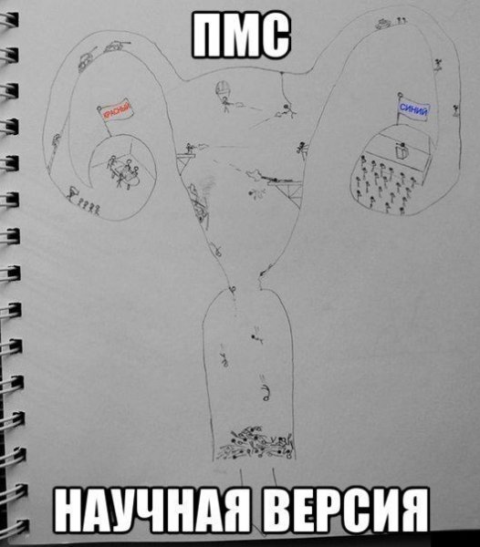 ПМС приколы картинки