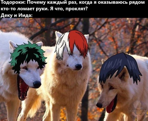 Мемы с аниме Мга кадры