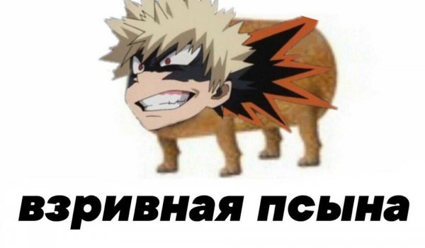 Катсуки Бакуго взрывная псина