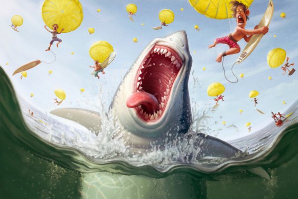 Акула Tiago Hoisel