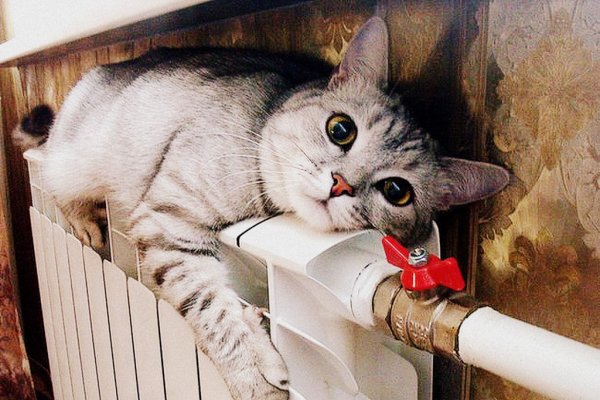 Отопление юмор