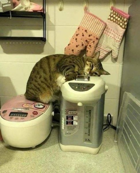 Анекдоты про отопление