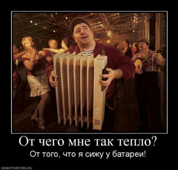 Кот сантехник