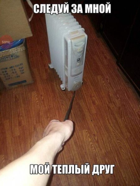 Кот на трубе